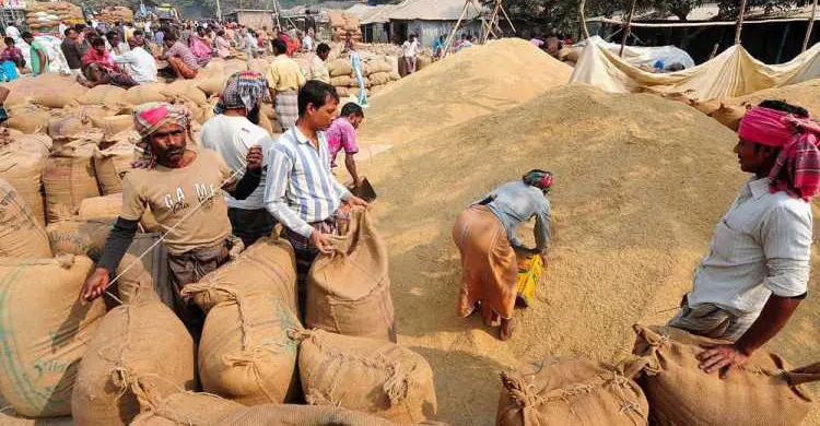 এক হাজার টাকা দরে ধান ক্রয়ের দাবি