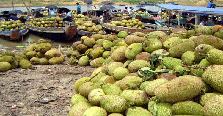 ভালো ফলনেও রাঙ্গামাটিতে কাঁঠালের দাম চড়া