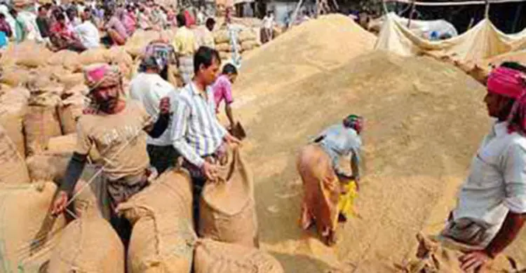 ১ হাজার টাকার সুদ এক মণ ধান