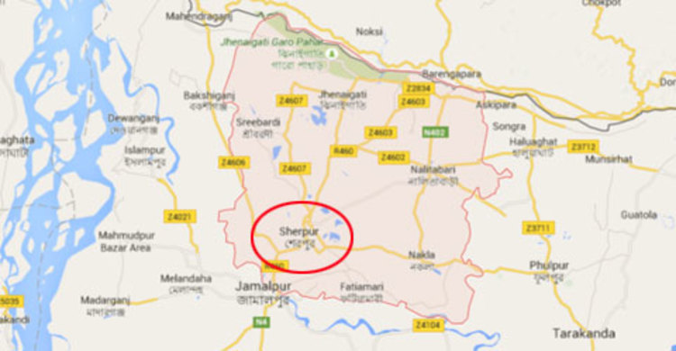 শেরপুরে সংরক্ষিত নারী সদস্য পদে মনোনয়নপত্র দাখিল