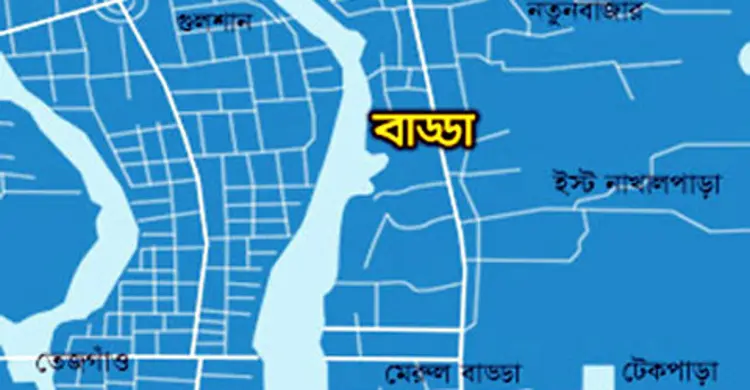 বাড্ডায় দম্পতির ঝুলন্ত মরদেহ উদ্ধার