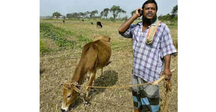 মোবাইলে পরামর্শ পাবেন কৃষক