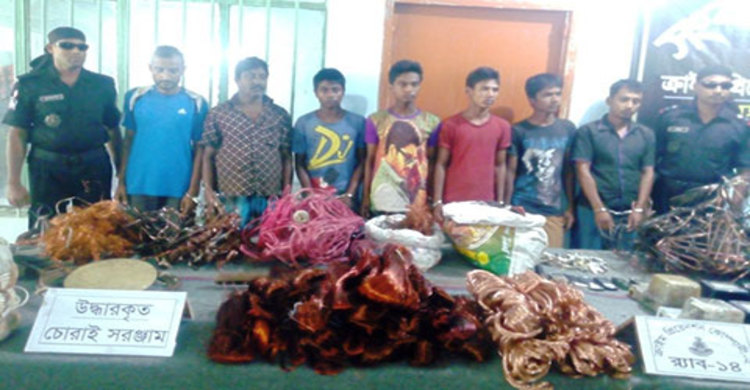 কিশোরগঞ্জে বিপুল পরিমাণ বৈদ্যুতিক সরঞ্জামসহ আটক ৭