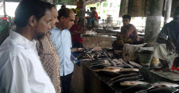 নাটোরে ৪০ কেজি হাইব্রিড কৈ মাছ জব্দ