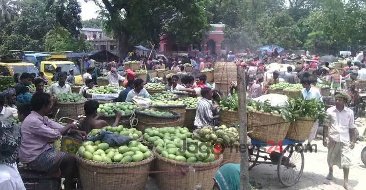 রাজশাহীর বাজারে উঠতে শুরু করেছে রসালো আম