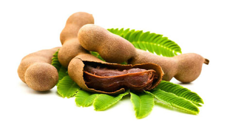 তেঁতুলের যত গুণ