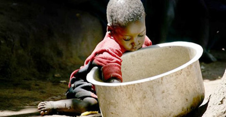 বিশ্বে ক্ষুধা-পীড়িত মানুষের সংখ্যা কমেছে