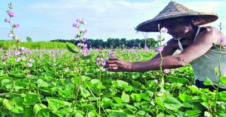 Farmers-friendly banking for boosting crop production stressed