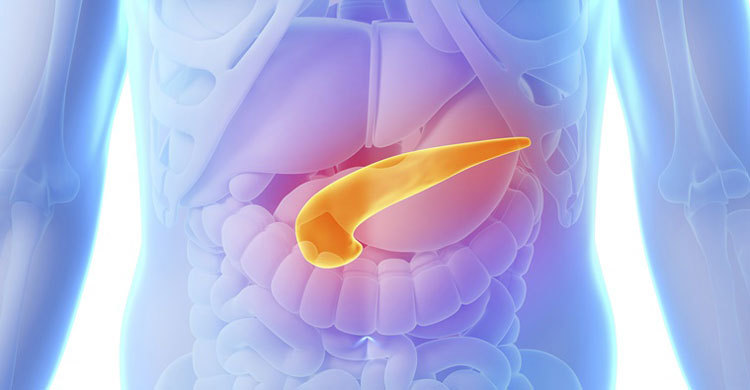 Diabetes drug slows down growth of pancreatic cancer 
