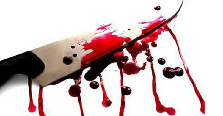 Miscreants attacked 3 houses, injured 5