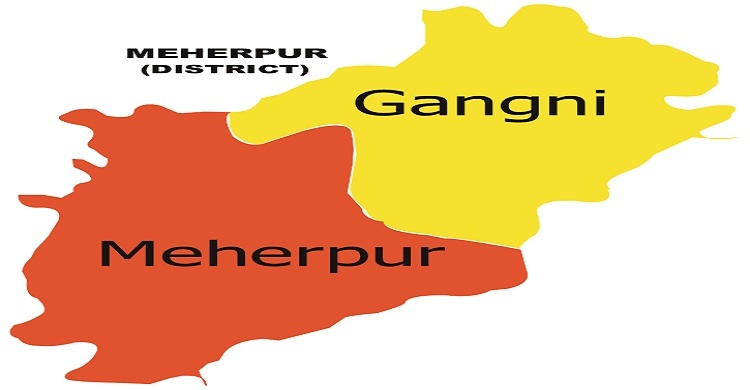 6 detained in Meherpur