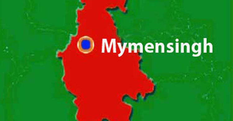 Mymensingh road crash kills varsity’s 2 students 