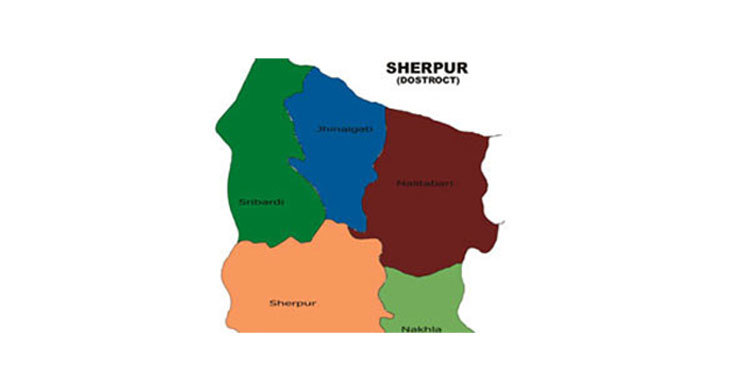 Huge arms, ammo recovered in Nalitabari