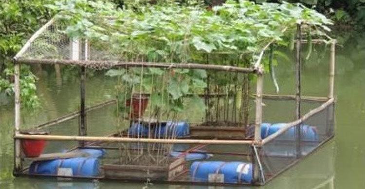 Bangladesh’s farming system get global recognition