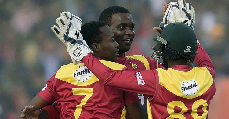 Zimbabwe level series