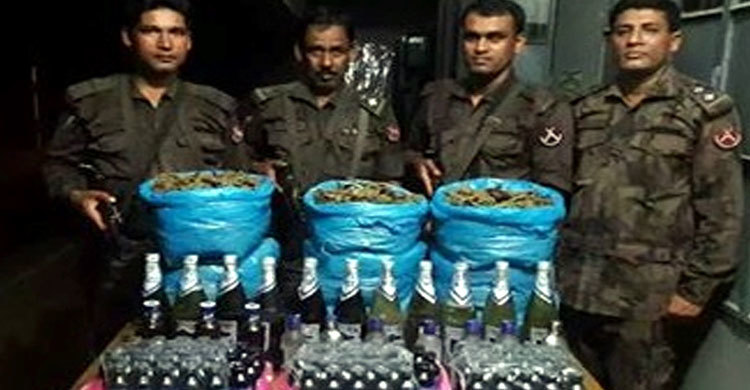 ব্রাহ্মণবাড়িয়ায় বিজিবির অভিযানে মাদকদ্রব্য উদ্ধার