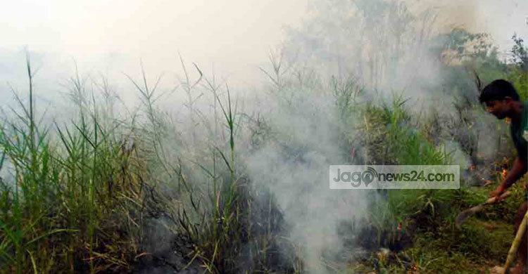 সুন্দরবনের আগুন নিয়ন্ত্রণে : তদন্ত কমিটি গঠন
