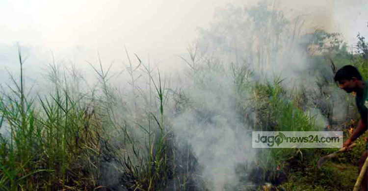 নেভেনি সুন্দরবনের আগুন : তদন্ত কমিটি গঠন