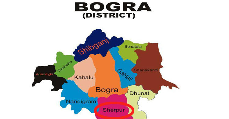 Huge arms, ammo recovered in Bogra