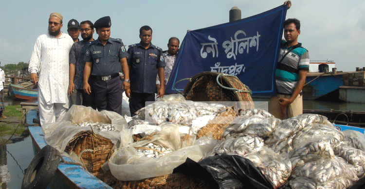 চাঁদপুরে ৩২০০ কেজি জাটকা উদ্ধার