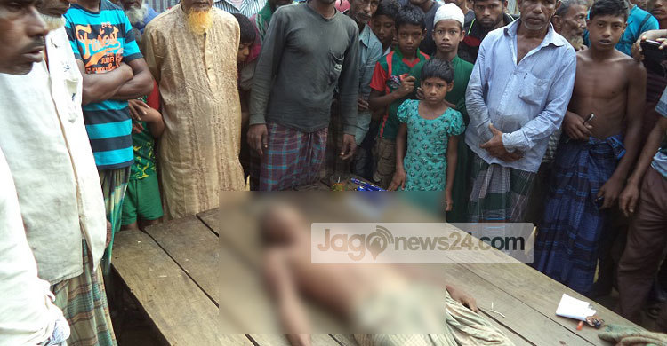 বকশীগঞ্জে বন্য হাতির আক্রমণে কৃষকের মৃত্যু