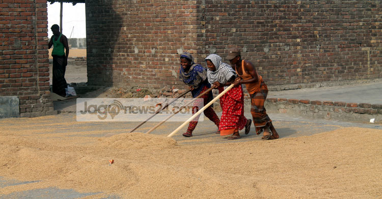 তাদের কথা শোনার কেউ নেই