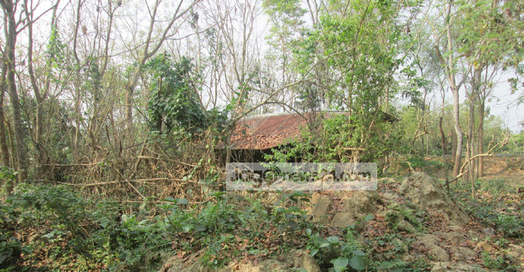 জামাইপাড়া এখন জনশূন্য