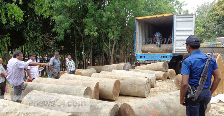 মাটিরাঙায় ১৫ লাখ টাকার অবৈধ কাঠ আটক