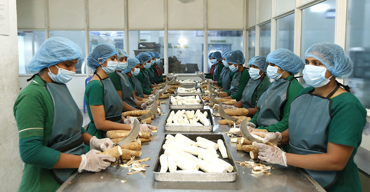 PRAN bags maiden Cassava export order from NZ