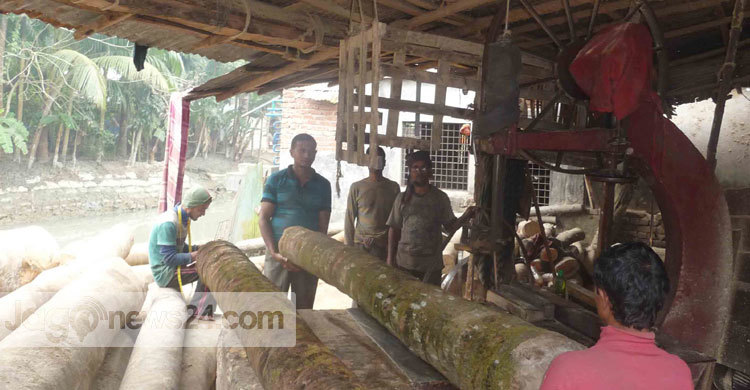 পিরোজপুরে অবৈধ স`মিলের ছড়াছড়ি : প্রশাসন নিরব