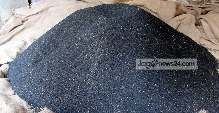 কালোজিরার বাম্পার ফলনে কৃষকের মুখে হাসি