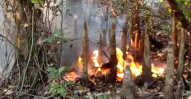 সুন্দরবনে আবারও আগুন