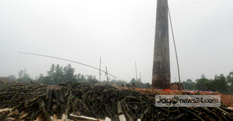 ছাড়পত্রহীন ইট ভাটায় সয়লাব টাঙ্গাইল