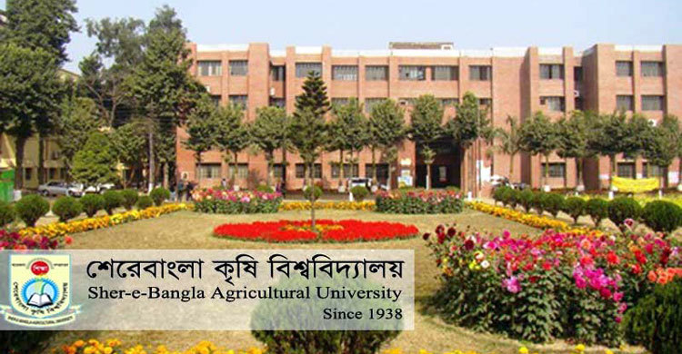 কৃষি বিশ্ববিদ্যালয়ে দুই গ্রুপের সংঘর্ষ