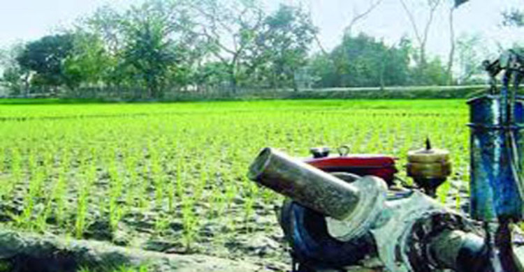 নাগরপুরে ডিজেল সঙ্কট : দিশেহারা কৃষক