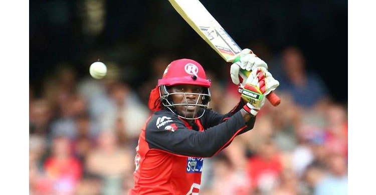 Gayle make take part in Big Bash League