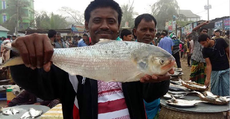 ১৭ হাজার টাকায় এক ইলিশ! 