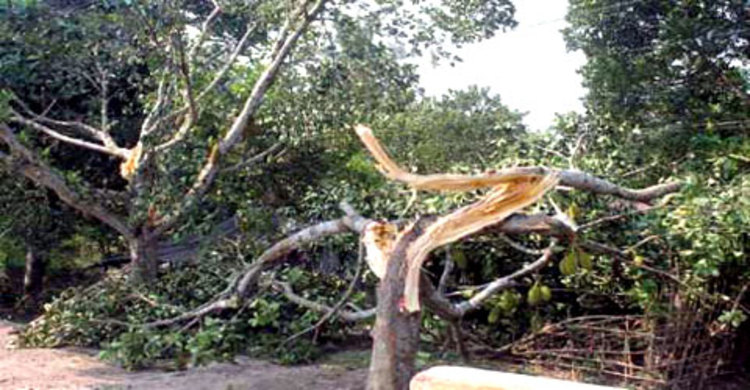 টানা ২৪ ঘণ্টা অন্ধকারে শার্শা উপজেলাবাসী