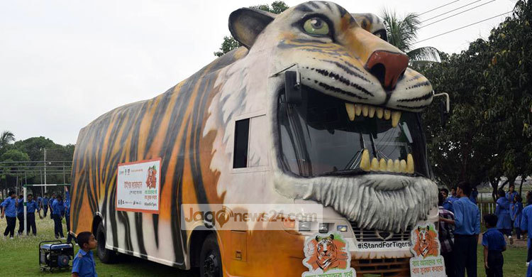 কুষ্টিয়া মাতালো সুন্দরবনের বাঘ 