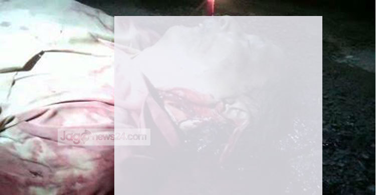 ভেড়ামারায় বিএনপি প্রার্থীর সমর্থককে কুপিয়ে হত্যা