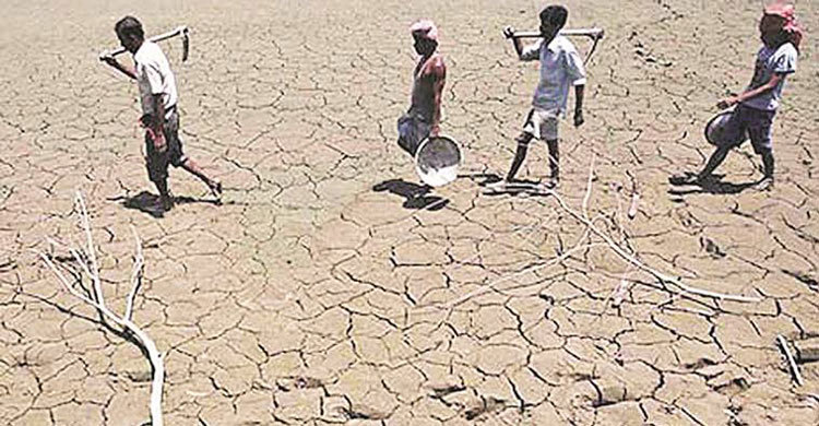 116 Indian farmer suicides in first 3 months of 2016