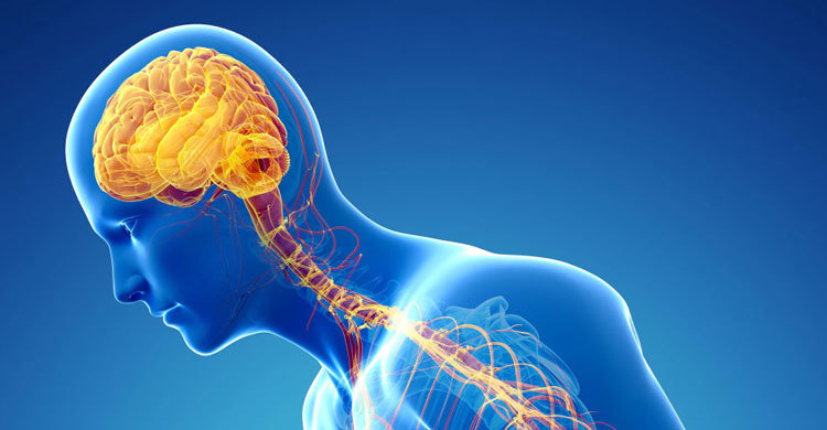 Irregular sleep-wake cycles may worsen Parkinson’s disease 