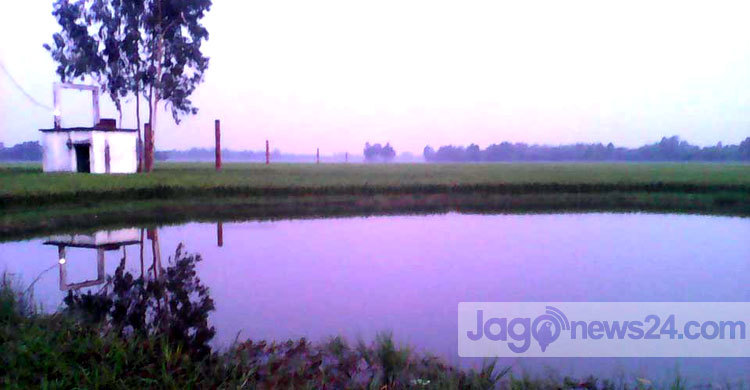 আজ আঁখিরা গণহত্যা দিবস 