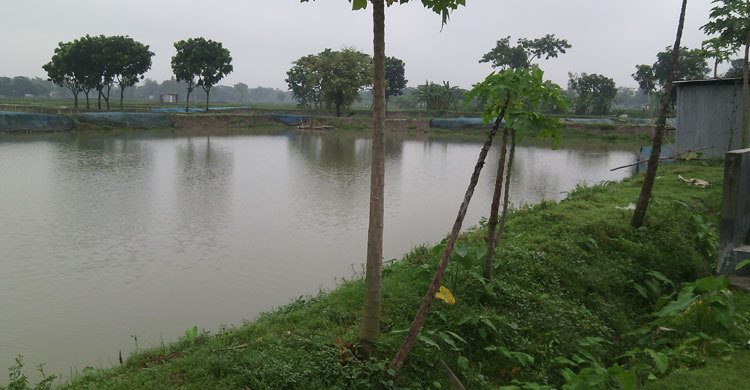 ১৮ বিঘার পুকুর ২৬ হাজার টাকায় ইজারা!