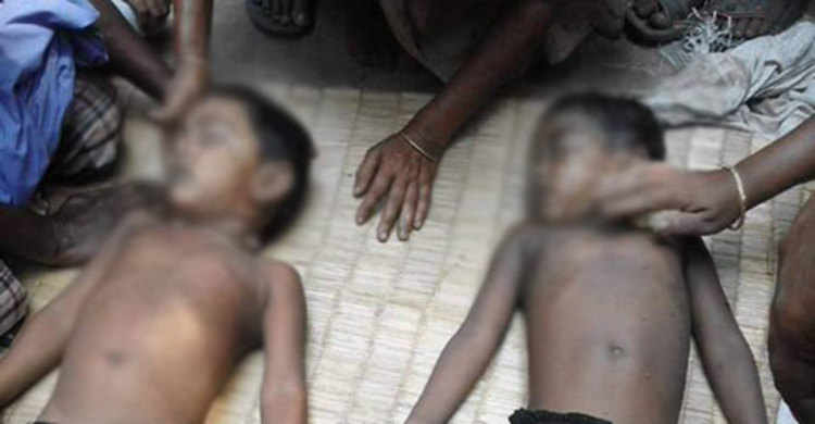 সাতক্ষীরায় পুকুরে ডুবে ভাই-বোনের মৃত্যু