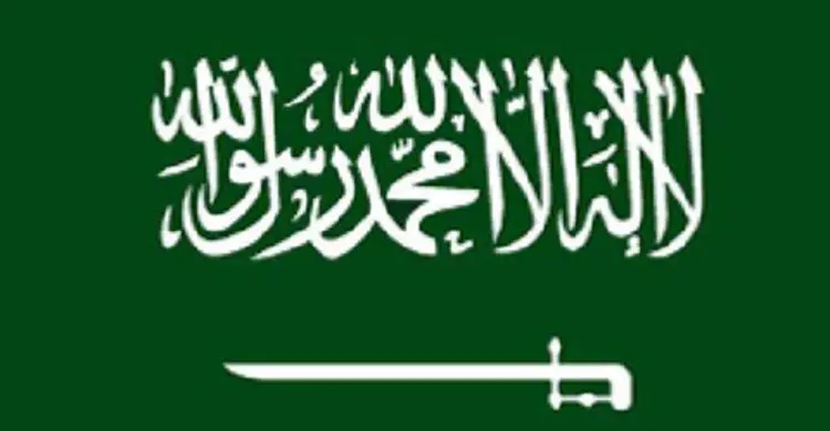 সৌদিতে বিদেশিদের জন্য চালু হচ্ছে গ্রিনকার্ড