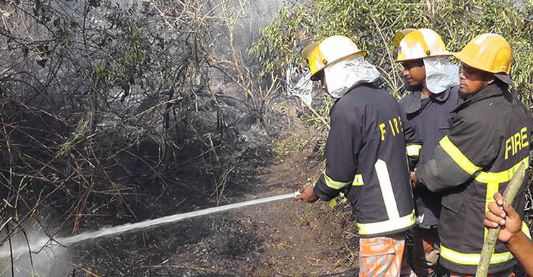 অবশেষে সুন্দরবনের আগুন নিয়ন্ত্রণে 