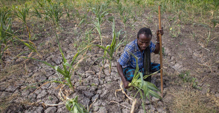 UN: 34 countries don’t have enough food for their people