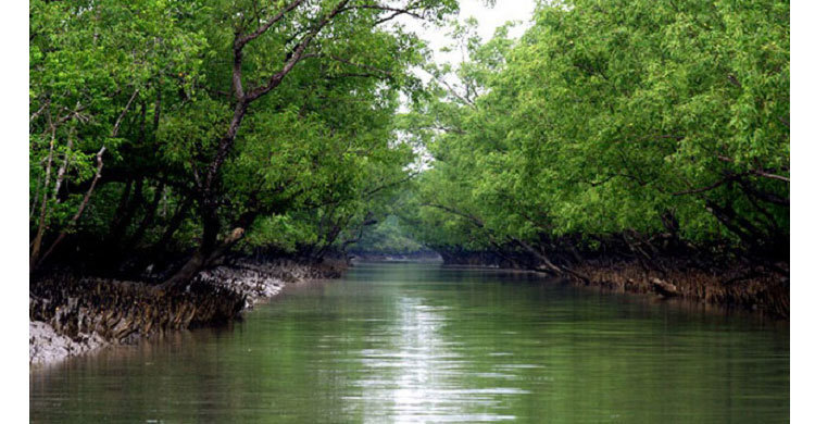 Shela River route banned again
