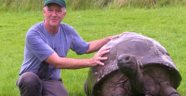 184-year-old Tortoise take his first bath 